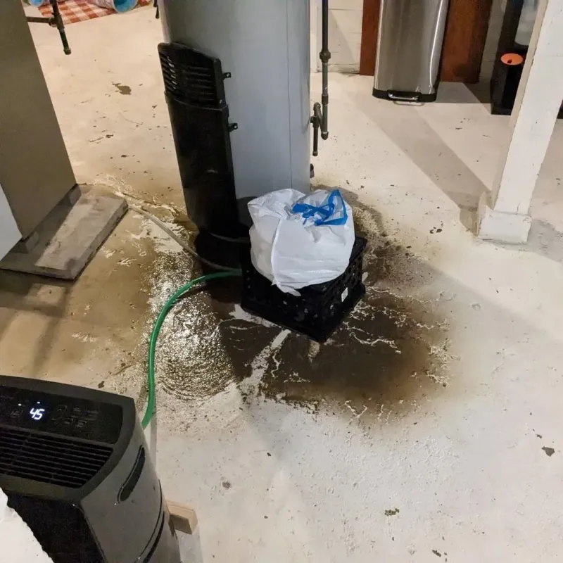 Sewage Backup Cleanup Service in Whitmire, SC